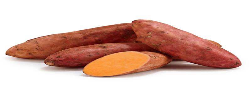 减脂可以吃红薯吗 可以吃红薯减肥吗-九图集