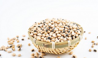 眉豆的营养价值（眉豆的营养价值和功效）