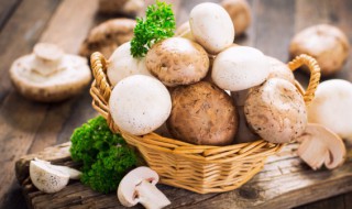 蘑菇晒干了还能吃吗 蘑菇晒干了还可以吃吗