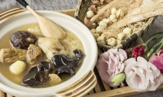 茶树菇乌鸡汤的禁忌 乌鸡汤能放茶树菇吗-九图集