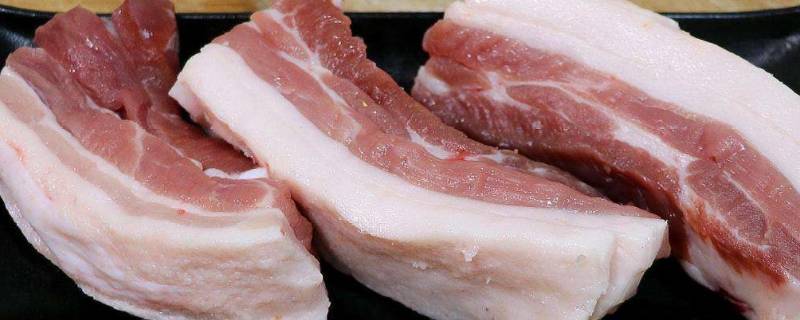 饺子馅的肉用什么肉（饺子馅猪肉用啥肉）-九图集