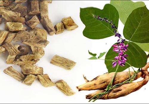 哺乳期能吃葛根吗 哺乳期能吃葛根吗吗-九图集