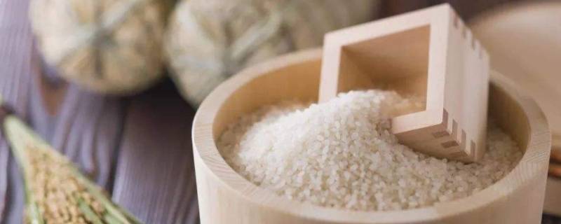 大米如何保存10年以上 怎么保存大米一年以上-九图集