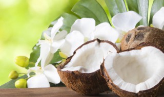 椰子是凉性还是热性（椰子是凉性还是热性的）