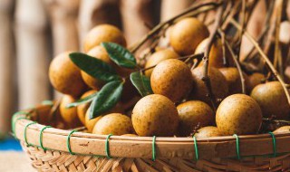 龙眼发芽了肉还能吃吗 龙眼果肉发芽了能不能吃-九图集