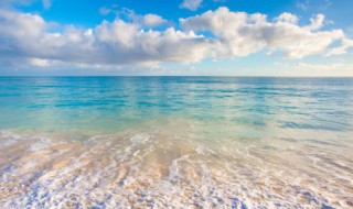 天津极地海洋世界能逛多长时间 天津极地海洋世界能玩多久-九图集