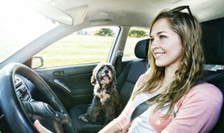 真皮座椅怎么清洗 真皮座椅怎么清洗污渍