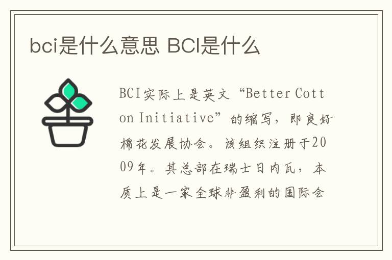 bci是什么意思 BCI是什么
