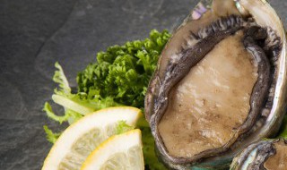 吃鲍鱼的禁忌有哪些 鲍鱼的禁忌食物
