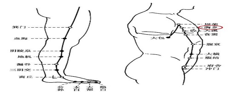胸乡在什么位置（胸乡的准确位置和作用）-九图集