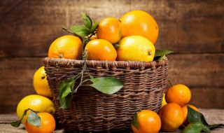 椪柑是热性还是凉性（椪柑是凉性吗）-九图集