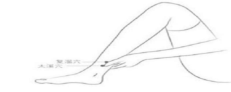 复溜的准确位置图片(复溜的准确位置图片和作用)