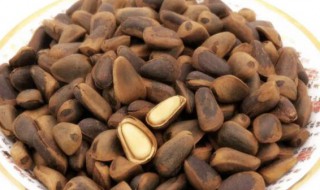 生松子与熟松子哪种营养好 生松子和熟松子哪个有营养