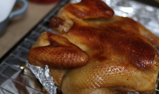 公鸡为什么是发物（公鸡为什么是发物?）-九图集