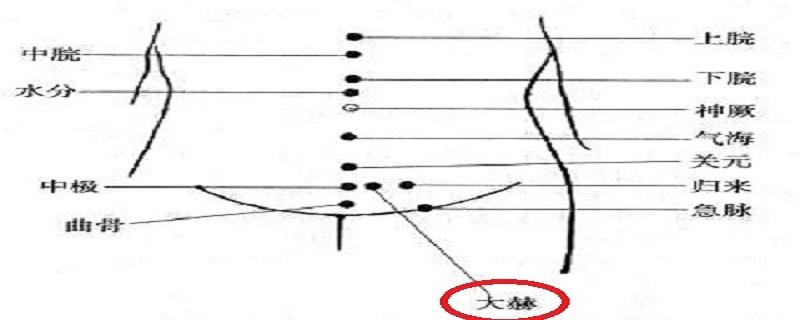 大赫的定位与主治（大赫的准确位置及作用）