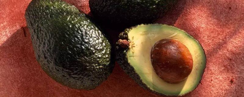 牛油果为什么有黑线 牛油果里为什么有黑线