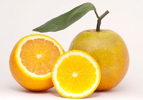 盐蒸橙子产妇可以吃吗(盐蒸橙子哺乳期妇女能吃吗)-九图集