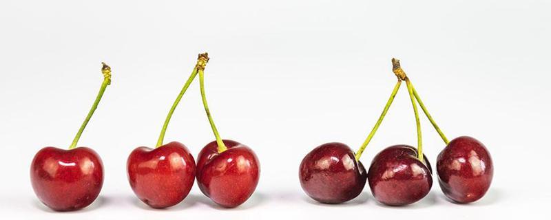 车厘子可以和牛油果一起吃吗 车厘子可以和牛油果一起吃吗吗-九图集