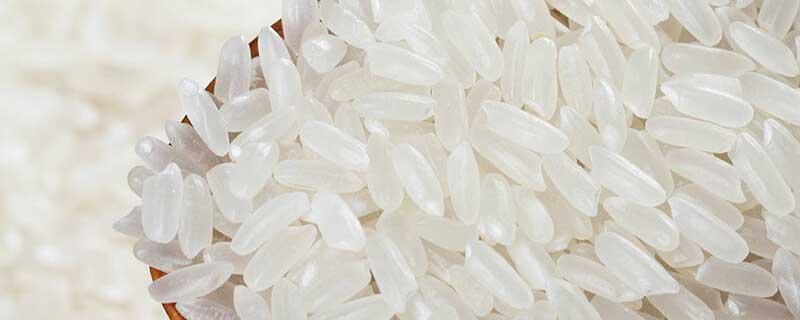 米里白色的虫子是蛆吗(米里面有白色虫子像蛆一样是什么东西)-九图集