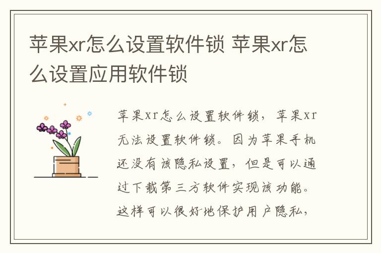 苹果xr怎么设置软件锁 苹果xr怎么设置应用软件锁-九图集
