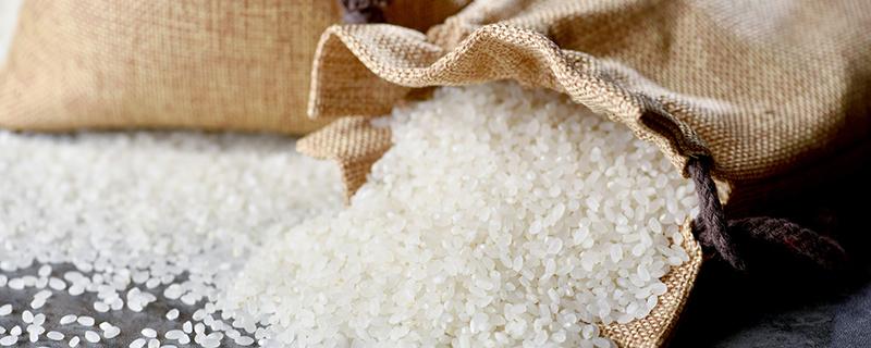 大米汤有什么功效(大米汤有什么功效与作用)-九图集