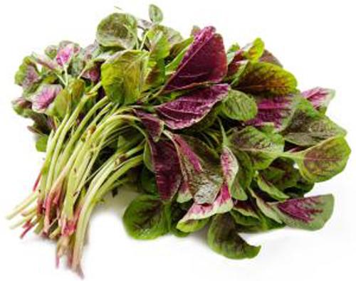 吃哪些食物降血压 吃哪些食物降血压最快