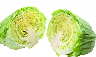 圆白菜与包菜的区别 圆白菜与包菜的区别图片-九图集