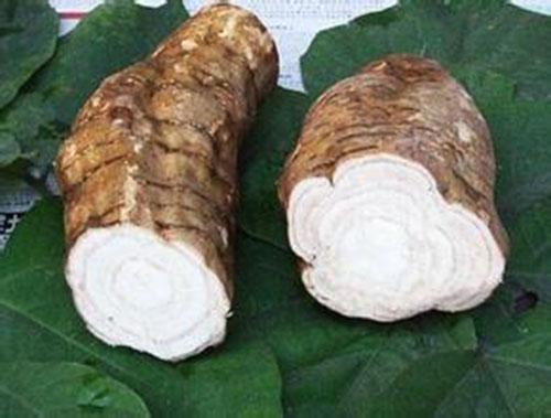 血压高有什么中药调理(什么中药治疗血压高)-九图集