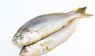 鲫鱼如何长时间保存（鲫鱼怎样保存时间长）-九图集