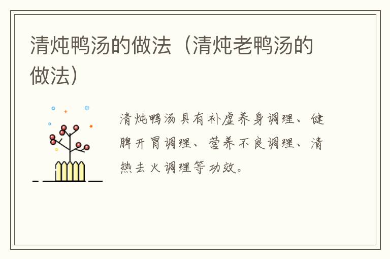 清炖鸭汤的做法（清炖老鸭汤的做法）-九图集