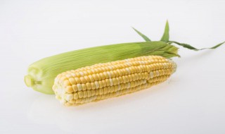 普通玉米怎么煮软糯（玉米怎样煮的软糯）-九图集