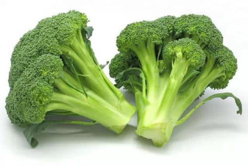 肝脏不好吃什么（肝脏不好吃什么食物才能养肝护肝）-九图集