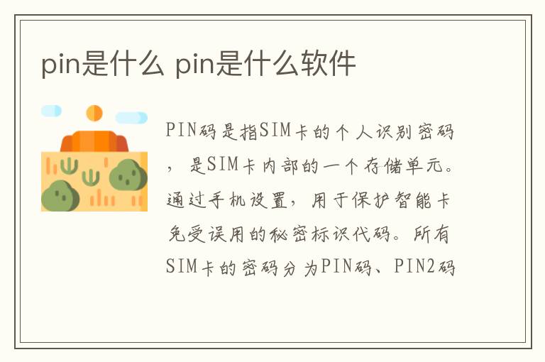 pin是什么 pin是什么软件-九图集