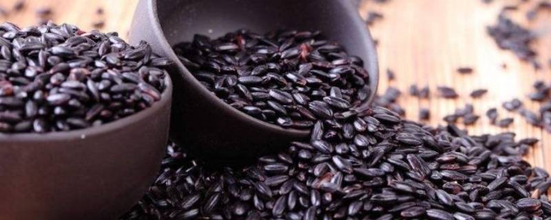 黑色的食物(黑色的食物为什么补肾)-九图集