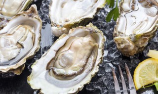 去壳生蚝肉蒸多长时间 去壳生蚝蒸几分钟