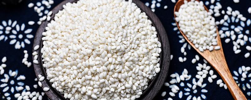 糯米和江米一样吗 糯米和江米一样吗米的区别-九图集