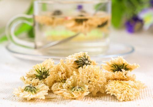 夏天喝菊花茶好吗（女人夏天喝菊花茶好吗）