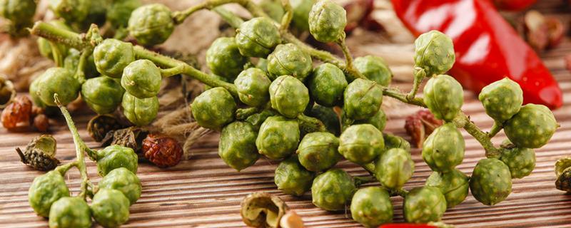 新鲜花椒怎么保存长久(新鲜花椒怎么保存长久一些)