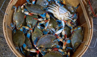 河蟹如何保存时间长 河蟹怎么保存时间最长