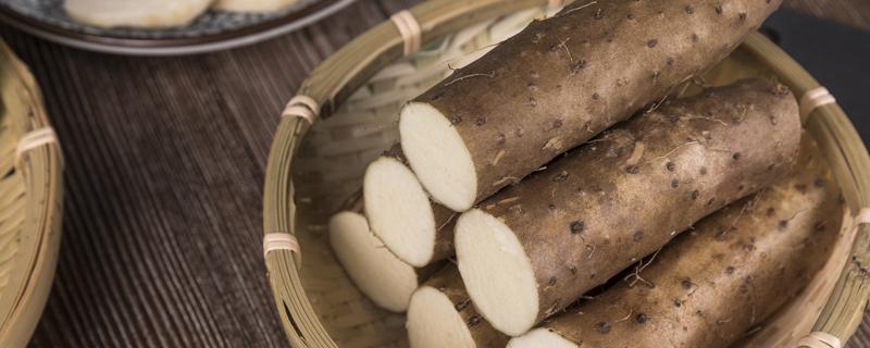 每天吃铁棍淮山好不好(铁棍山药淮山天天吃可以吃吗)-九图集
