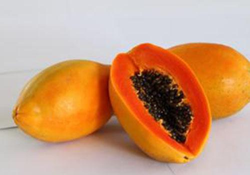 木瓜籽能吃吗 牛奶木瓜籽能吃吗-九图集