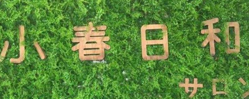 小春日和寓意什么（小春日和啥意思）-九图集