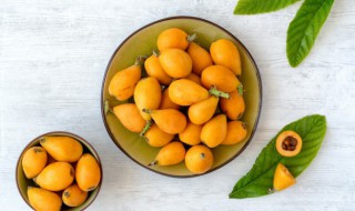 枇杷是什么水果(枇杷是什么)-九图集