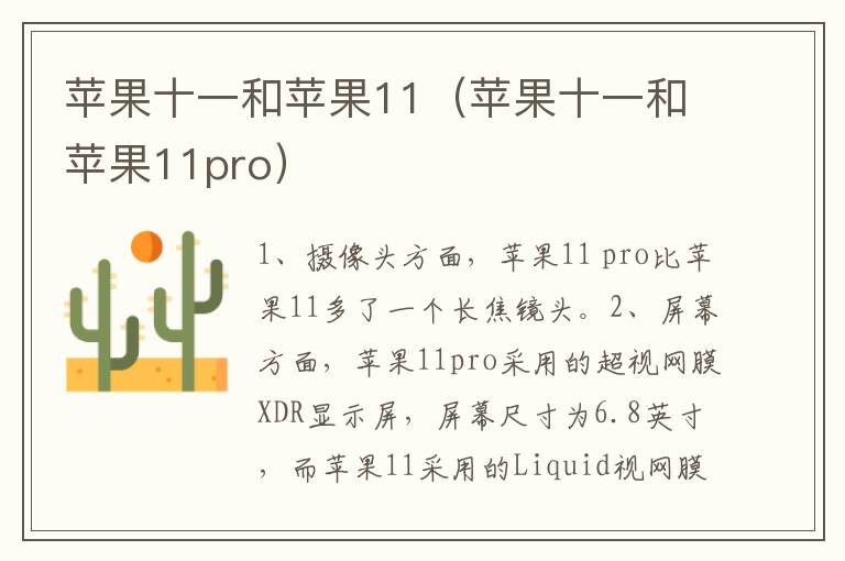 苹果十一和苹果11（苹果十一和苹果11pro）-九图集