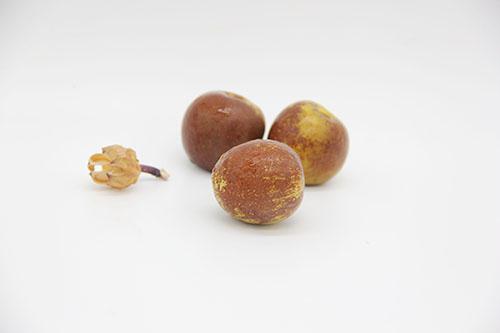 怀孕可以吃脆冬枣吗 孕妇吃脆冬枣对胎儿有好处吗