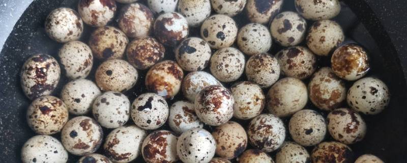 鹌鹑蛋冷水下锅煮几分钟-九图集