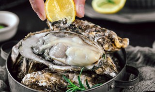 生蚝里面怎么清洗 生蚝里面清洗方法-九图集