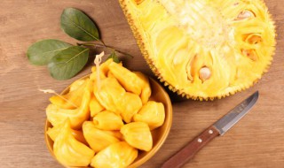 菠萝蜜的核煮熟能隔夜吃吗（菠萝蜜核煮熟能吃吗?）-九图集