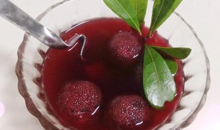 自己制作杨梅罐头可以保存多久（自己制作的杨梅罐头可以存放多久?）-九图集