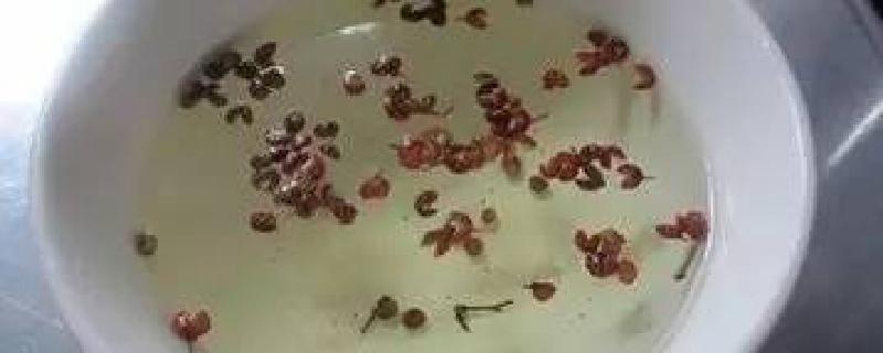 每天喝花椒水最佳时间 花椒水一天喝几次为好-九图集